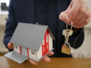 Real Estate Lawyer